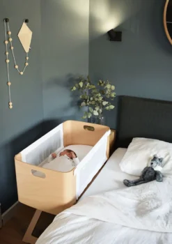Beistellbett 'Bednest' inkl. Bio-Matratze 82 x 37 cm