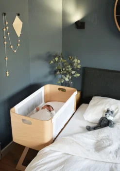 Beistellbett 'Bednest' inkl. Bio-Matratze 82 x 37 cm