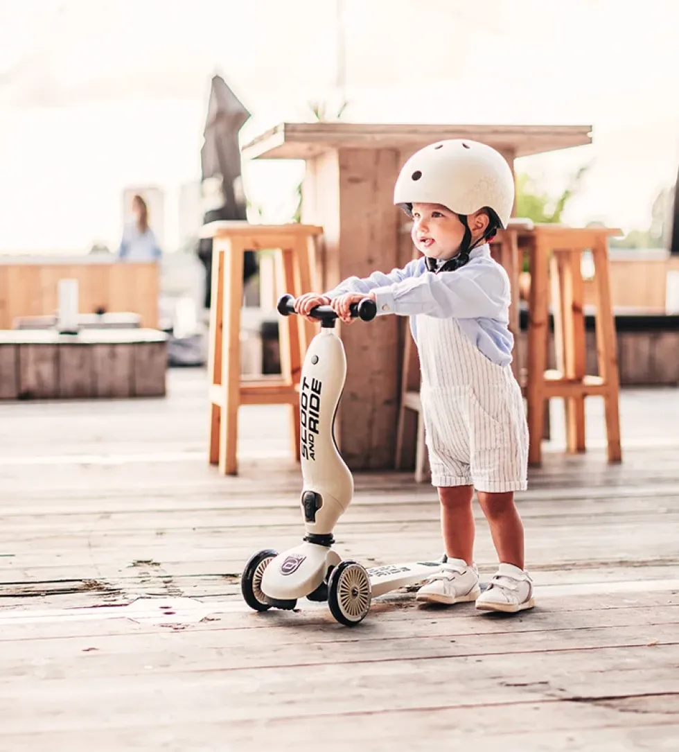 2in1 Kickboard 'Highway Kick 1' ash