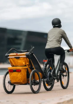 Multisport-Fahrradanhänger 'Chariot Sport 2 Single' Natural Gold