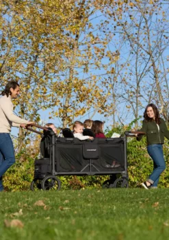 W6 Luxe Pro Kinderwagen 6-Sitzer Jet Black